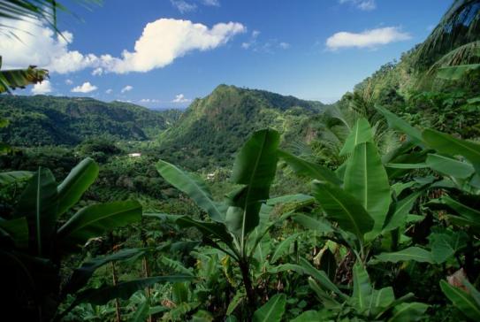 Waitukubuli National Trail